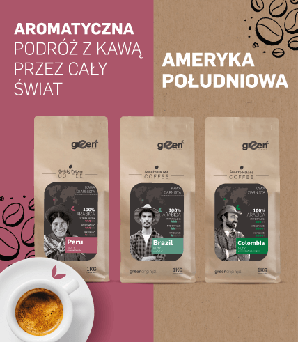 ameryka południowa